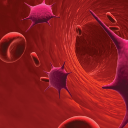 Wampirzy Lifting Koncentrat osocza bogatopłytkowego